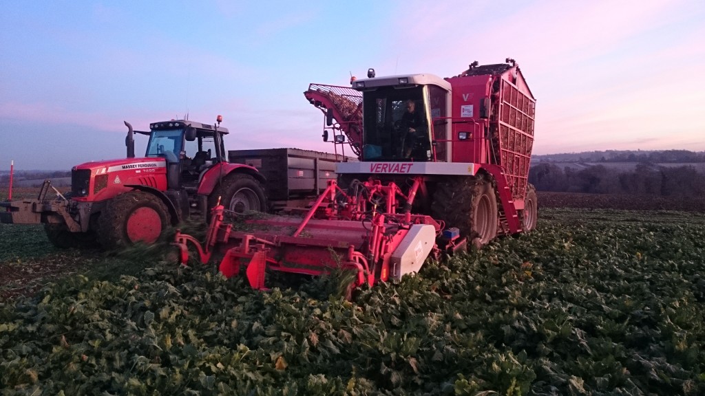 Beet Harvester