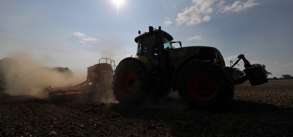 Drilling barley on a warm day