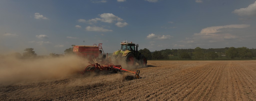 Drilling no till farm