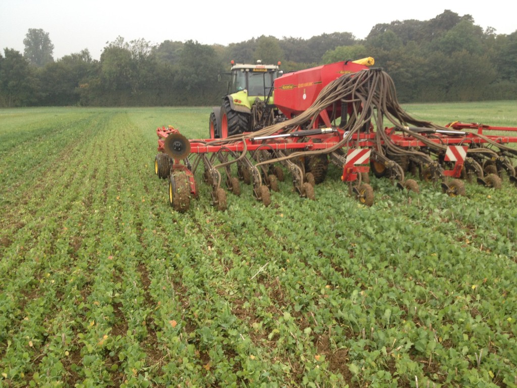 No till drilling in East Anglia