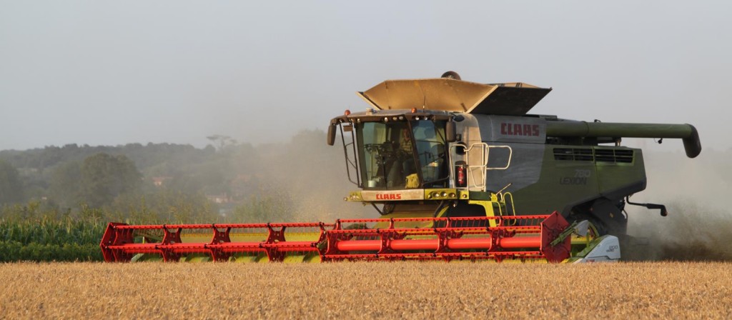 Combine on our contract farm in Suffolk