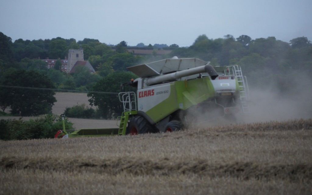 Combining in Belchamp Walter 2015