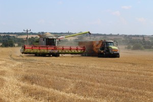 coming haulage harvest 2014