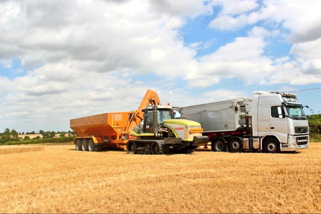 Harvest in Belchamp Walter, Essex